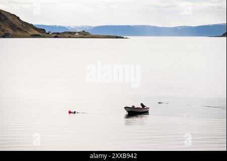 Naturlandschaften auf der Insel Mageroya entlang der Straße zum Nordkap, Norwegen Stockfoto