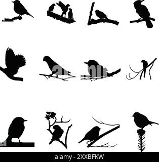 Set aus Vogeldesign auf weißem Hintergrund Stock Vektor