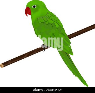 Ein niedlicher Papagei sitzt eine Baumzweig-Vektorillustration auf einem weißen Hintergrund Stock Vektor