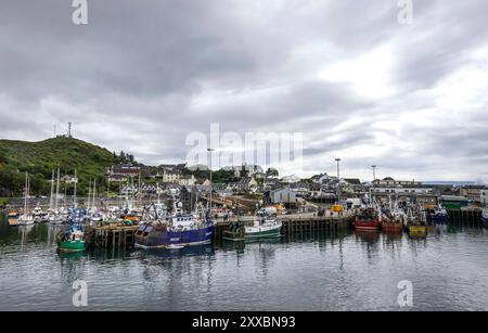 Mallaig: Fischer und Fähren. - Blick auf den Fähr- und Fischereihafen von Mallaig an der schottischen Westküste. Der touristische Ort ist heute Ausgan Stockfoto