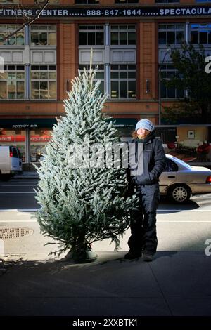 Weihnachtsbäume in New York können bis zu 120 Dollar für einen wirklich schönen Baum betragen. ANAIS Belin verkauft Bäume an der 27th Street und 6th Avenue. Stockfoto