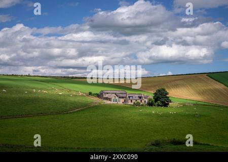 Aberdeen: Schottisches Grün mit Bauernhof.- Inmitten einer sanften Hügellandschaft und saftiger Felder nordwestlich von Aberdeen hat dieser Bauernhof Stockfoto