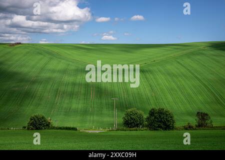 Aberdeen: Schottisches Grün.- sanfte Hügel und saftige Felder prägen die Landschaft in den schottischen Highlands nordwestlich von Aberdeen. Aberdeen Stockfoto