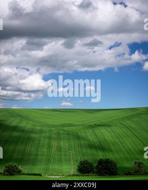 Aberdeen: Schottisches Grün.- sanfte Hügel und saftige Felder prägen die Landschaft in den schottischen Highlands nordwestlich von Aberdeen. Aberdeen Stockfoto