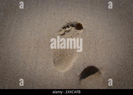 Erste Schritte: Baby Footprint im Sand Stockfoto