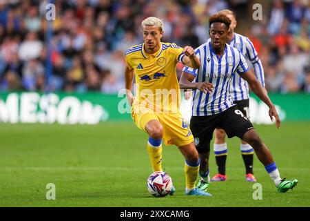 Während des Sheffield Wednesday FC gegen Leeds United FC SKY Bet EFL Championship Match im Hillsborough Stadium, Sheffield, England, Großbritannien am 23. August 2024 Credit: Every Second Media/Alamy Live News Stockfoto