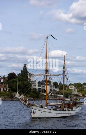 Das klassische Segelschiff „Shamrock“ mit mehreren Masten und Segeln, das durch ruhiges Wasser navigiert. Im Hintergrund gibt es üppig grüne Bäume und W Stockfoto