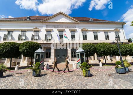 Wachablösung, Sandorpalast, Budaer Burgviertel, Budapest, Ungarn Stockfoto