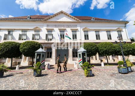 Wachablösung, Sandorpalast, Budaer Burgviertel, Budapest, Ungarn Stockfoto