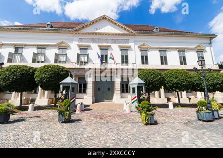 Wachablösung, Sandorpalast, Budaer Burgviertel, Budapest, Ungarn Stockfoto