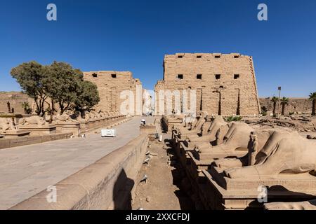 Karnak Tempel, Amun Tempel, erste Pylon und Sphinxes Avenue, RAM Kopf Sphinxe, Luxor, Ägypten, Nordafrika, Afrika Stockfoto