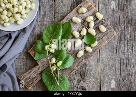 Frische weiße Maulbeeren im Teller mit Zweig auf hölzernem Hintergrund, Sommerfrucht-Konzept Stockfoto