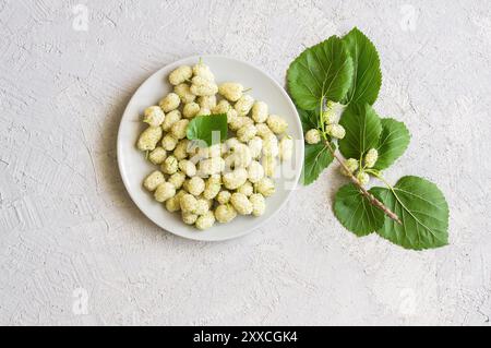 Frische weiße Maulbeeren im Teller mit Zweig auf hölzernem Hintergrund, Sommerfrucht-Konzept Stockfoto
