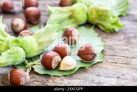 Haselnüsse mit grünem Zweig auf hölzernem Hintergrund Stockfoto