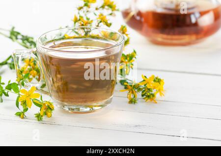 Glas Tasse St. john's Soße Tee mit Blumen, Kräuter Heißgetränk Konzept Stockfoto