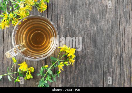 Glas Tasse St. john's Soße Tee mit Blumen, Kräuter Heißgetränk Konzept Stockfoto