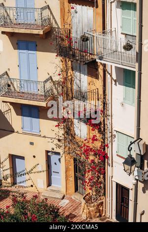 Cannes, Frankreich - 1. August 2024: Altstadt von Cannes an der französischen Riviera Stockfoto