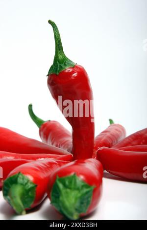 Peperoni Stockfoto