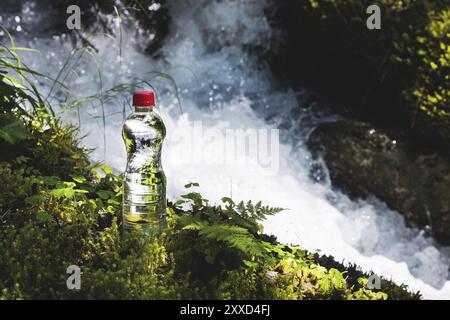 Transparenter Kunststoff Eine Flasche sauberes Wasser mit rotem Deckel steht im Gras und Moos auf dem Hintergrund eines schroffen Bergflusses. Das Konzept von p Stockfoto