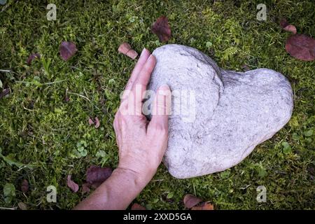 Herz Konzept: Stein in Herzform liegt auf dem grünen Gras Stockfoto