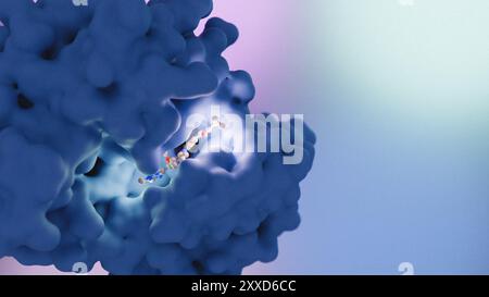 Darstellung von Deucravacitinib (BMS-986165), gebunden an sein Zielprotein. Deucravacitinib ist ein Tyrosinkinase-2-(TYK2-)Inhibitor, der zur Behandlung der Psoriasis eingesetzt wird. Stockfoto