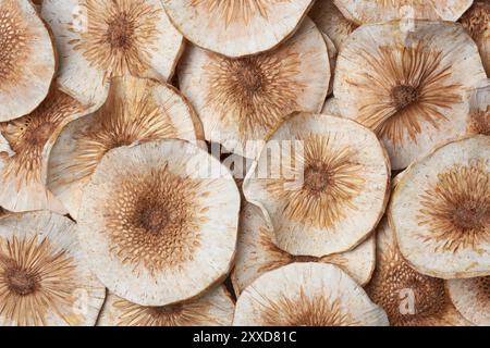 Sonnengetrocknete Brotfruchtscheiben oder -Chips im Nahthintergrund, beliebte Snackzutat, dünn geschnitten und zum Trocknen in der Sonne gelegt Stockfoto