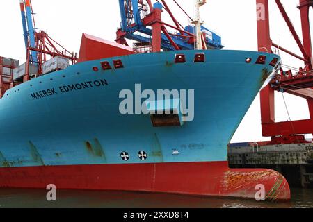 Maersk Edmonton in Hamburg, Maersk Edmonton landete in Hamburg, Deutschland, Europa Stockfoto