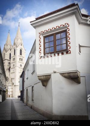 Dom und altes Haus im historischen Zentrum von Wiener Neustadt Stockfoto