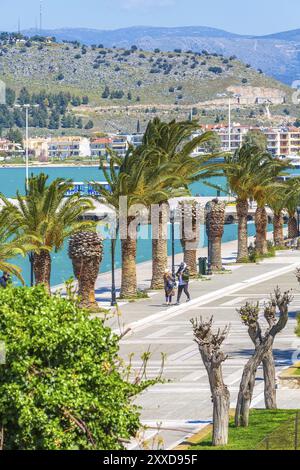 Nafplio, Griechenland, 30. März 2019: Promenade mit Palmenmeer in Nafplion, Peloponnes, Europa Stockfoto