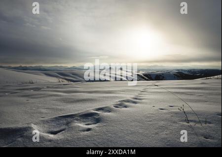 Winterlandschaft hoch in den Bergen schneebedeckte Spuren von Wanderern, die in der Ferne in tiefem prallen Schnee vor der Kulisse des Kaukasiens abreisen Stockfoto