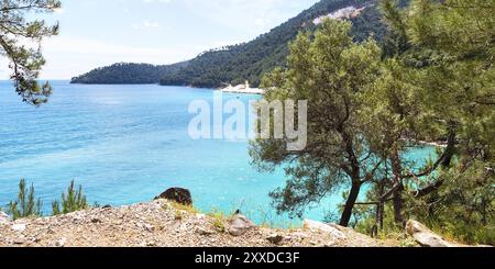 Sommerurlaub Panorama Hintergrund mit türkisfarbener Meeresbucht und Kiefern, Griechenland, Europa Stockfoto