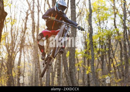 Ein junger Fahrer am Rad seines Mountainbikes macht einen Trick beim Springen auf dem Sprungbrett des bergab Bergwegs im Herbstwald. Die Co Stockfoto