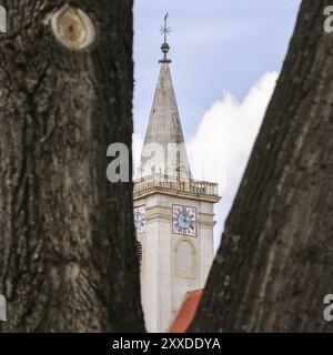 Kirche von Rust im Burgenland mit Baum im Vordergrund Stockfoto