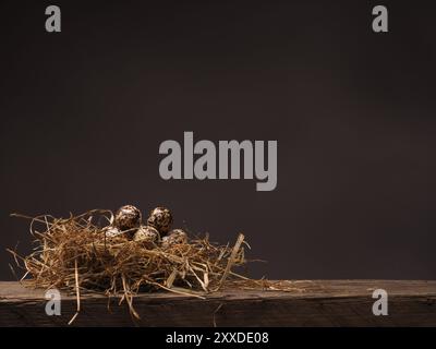 Ostern-Konzept mit kleinen Eiern in einem natürlichen Nest auf Holz Stockfoto