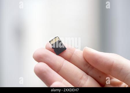 Der junge Mann hält eine kleine Speicherkarte in der Hand, Textraum Stockfoto