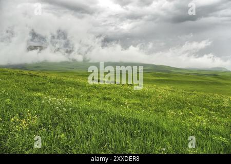 Das Wetter vor dem Sturm auf dem Feld. Wunderschöne dramatische Landschaft mit niedrigen dunklen Wolken und grünem Gras Stockfoto