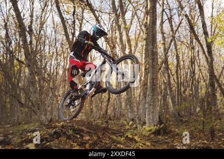 Ein junger Fahrer am Rad seines Mountainbikes macht einen Trick beim Springen auf dem Sprungbrett des bergab Bergwegs im Herbstwald. Die Co Stockfoto