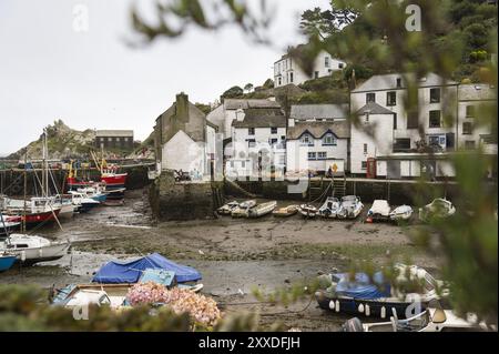 Ebbe im Fischerhafen von Polperro. Großbritannien, Cornwall, Polperro Stockfoto