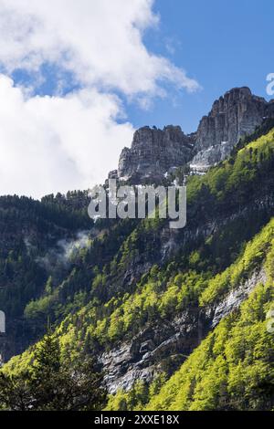 Ein atemberaubender Blick auf die zerklüfteten Klippen im Nationalpark Ordesa y Monte Perdido mit dichten, lebhaften grünen Wäldern. Aragonesische Pyrenäen mit einem Tou Stockfoto