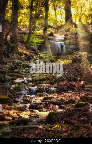 Das Sonnenlicht zieht durch die dichten Baumkronen und beleuchtet einen ruhigen Wasserfall, der über moosige Felsen stürzt. Stockfoto