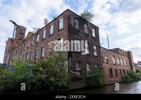 Rotes Backsteingebäude mit vielen Fenstern und Vegetation auf dem Dach neben dem Ashton-Kanal in Manchester. Stockfoto