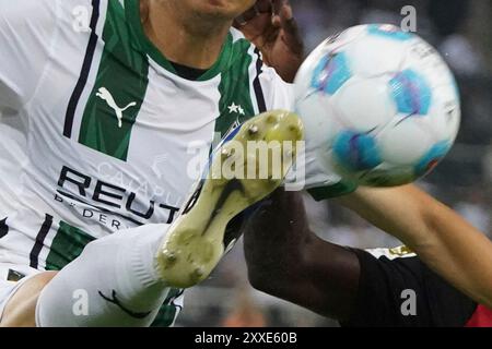 Fussball, 1.BL Saison 2024/2025 Borussia Mönchengladbach vs Bayer 04 Leverkusen, 23.08.2024, Stadion im Borussia Park Mönchengladbach, Borussia Mönchengladbach, Symbolfoto FotoCopyright Gladys Chai von der Laage DFL-Vorschriften verbieten jede Verwendung von Fotografien als Bildsequenzen und/oder Quasi-Video. Stockfoto