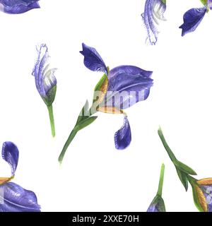 Nahtloses Blumenmuster mit lila Iris auf weißem Hintergrund. Handgezeichnet in Aquarell. Perfekt für Designprojekte, Heimtextilien und Verpackungen Stockfoto