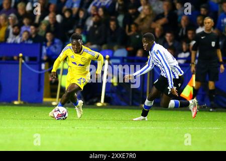 Hillsborough Stadium, Sheffield, England - 24. August 2024 - während des Spiels Sheffield Wednesday gegen Leeds United, EFL Championship, 2024/25, Hillsborough Stadium, Sheffield, England - 24. August 2024 Credit: Arthur Haigh/WhiteRosePhotos/Alamy Live News Stockfoto