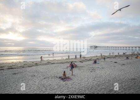 San Diego, Usa. August 2024. Allgemeiner Blick auf La Jolla Beach in San Diego. An der Küste von San Diego gibt es viele Menschen, die dort zu besuchen und Wasseraktivitäten zu Unternehmen sind. Die Küste von San Diego ist etwa 70 km entfernt und hat mehrere Strände sowie die Küste. Die Strände entlang der Küste sind beliebte Touristenattraktionen in San Diego und jeden Tag ist es geschäftig. Quelle: SOPA Images Limited/Alamy Live News Stockfoto