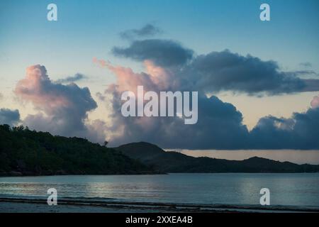 Ein tropischer Dschungel an der Küste der Seychellen im Licht der untergehenden Sonne. Stockfoto