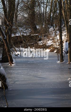 Gefrorene Uferzone einer Flussaue im Abendlicht. Eine Winterszene. Stockfoto