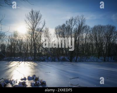 Blick auf einen gefrorenen See, umgeben von Bäumen. Eine Winterszene. Stockfoto