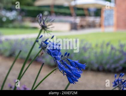 Gartengestaltung und Landschaftsgestaltung Stockfoto