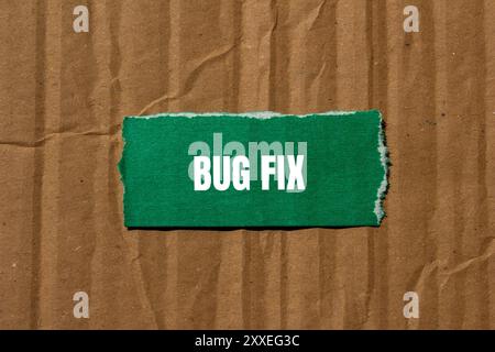 Fehlerbehebungsmeldung auf gerissenem, gerissenem, grünem Papierstück mit Papphintergrund geschrieben. Symbol für konzeptionelle Fehlerbehebungen. Kopierbereich. Stockfoto